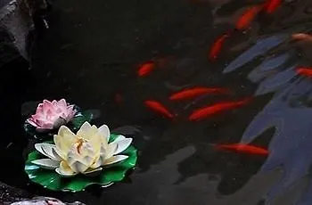 Traveler Inn Gusu Suzhou Σουτσόου